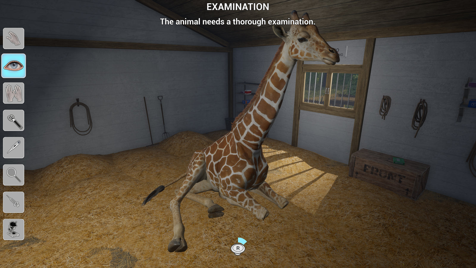 My Vet Practice In The Zoo [Nintendo Switch] Nintendo Switch Video Game GS2 Games
