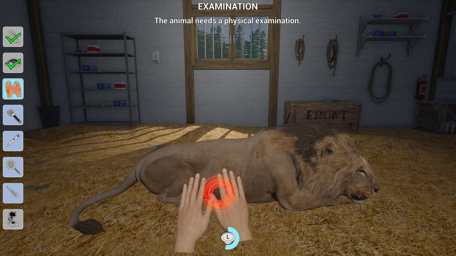 My Vet Practice In The Zoo [Nintendo Switch] Nintendo Switch Video Game GS2 Games