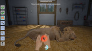 My Vet Practice In The Zoo [Nintendo Switch] Nintendo Switch Video Game GS2 Games