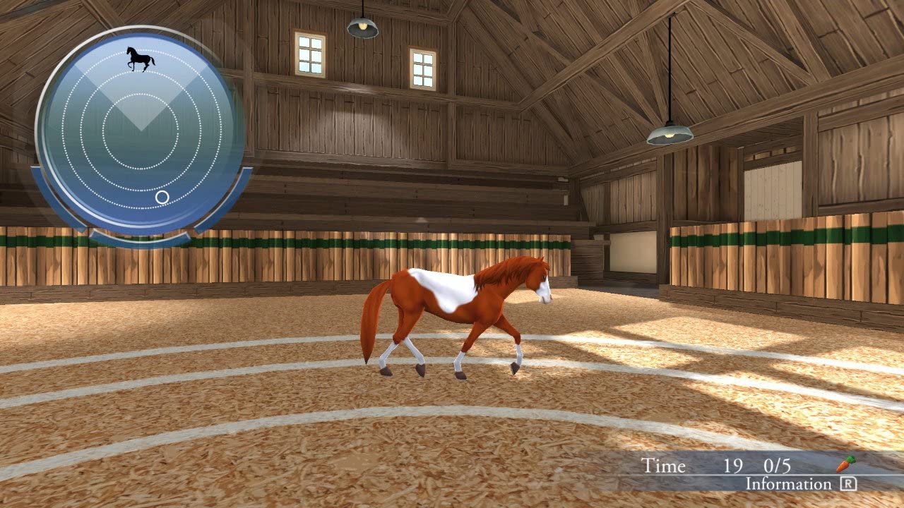 My Riding Stables: Life with Horses [Nintendo Switch] Nintendo Switch Video Game Kalypso