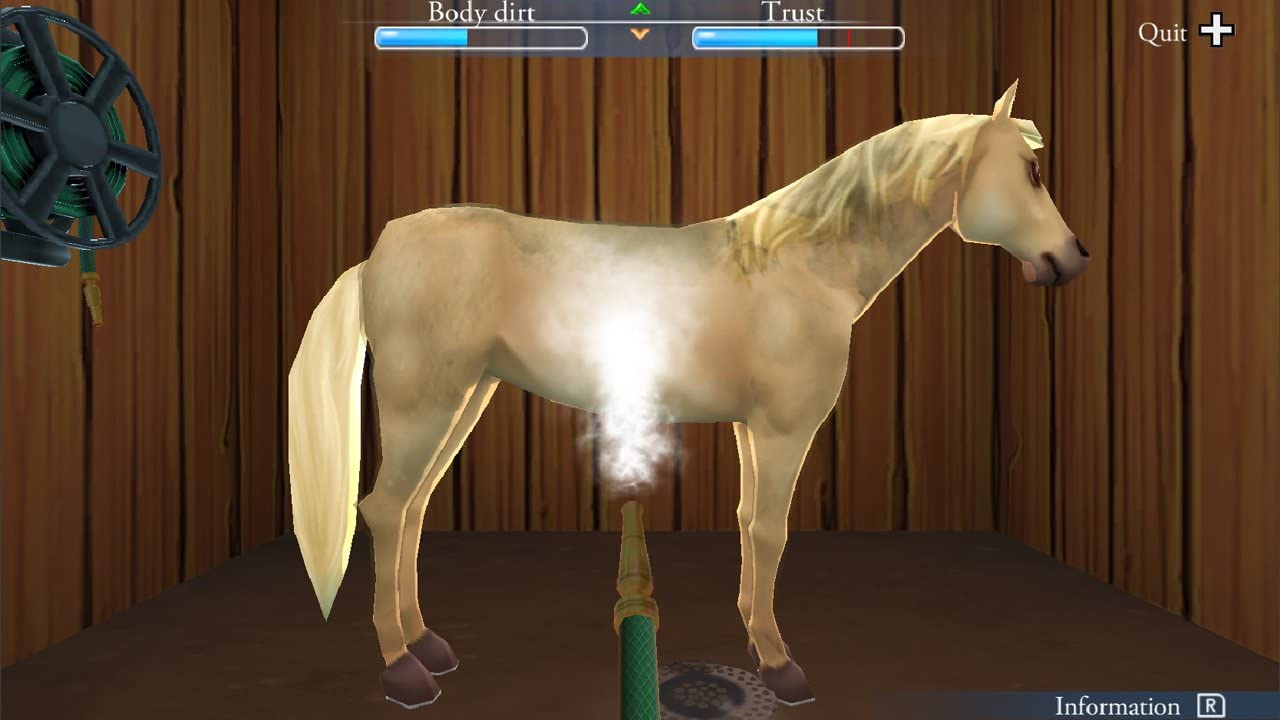 My Riding Stables: Life with Horses [Nintendo Switch] Nintendo Switch Video Game Kalypso