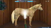 My Riding Stables: Life with Horses [Nintendo Switch] Nintendo Switch Video Game Kalypso