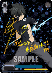 Weiss Schwarz TCG: Fairy Tail 100 Years Quest Booster Box - 12 Packs Card Game Bushiroad