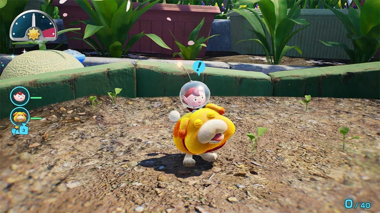 Pikmin 4 + Dandori Academy [Nintendo Switch 2]