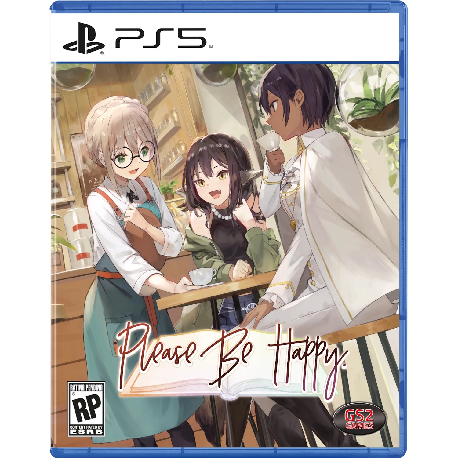 Please Be Happy [PlayStation 5] PlayStation 5 Video Game GS2 Games