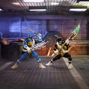 Power Rangers X Teenage Mutant Ninja Turtles Lightning Collection Morphed Donatello and Morphed Leonardo Toys & Games Hasbro