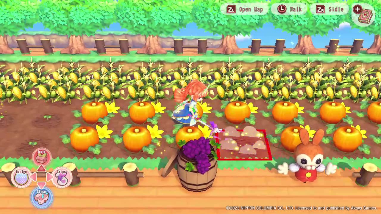 Pretty Princess Magical Garden Island [Nintendo Switch] Nintendo Switch Video Game Aksys Games   