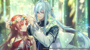 Radiant Tale [Nintendo Switch] Nintendo Switch Video Game Aksys Games   