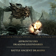 Skyrim Anniversary Edition [Nintendo Switch 2] Nintendo Switch 2 Video Game Bethesda