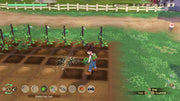 Story of Seasons: A Wonderful Life [Nintendo Switch] Nintendo Switch Video Game XSEED Games