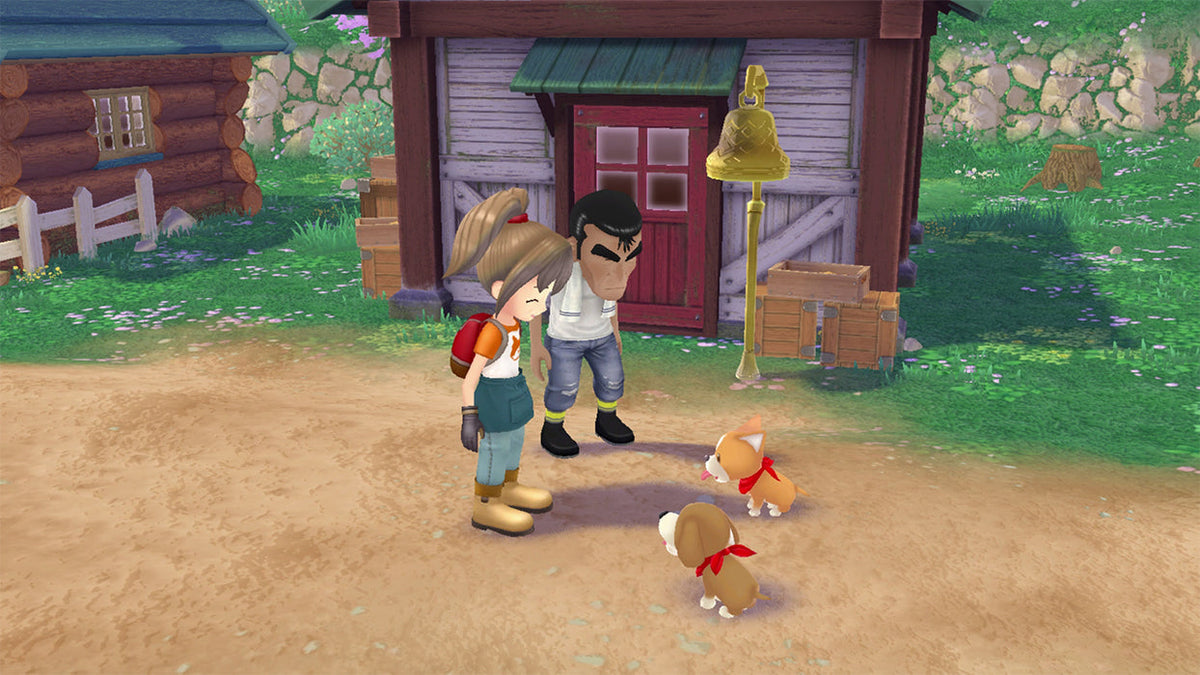 Story of Seasons: A Wonderful Life [Nintendo Switch] Nintendo Switch Video Game XSEED Games