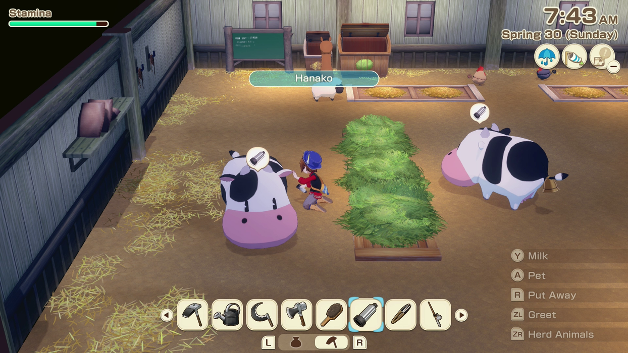 Story of Seasons Grand Bazaar - Premium Edition [Nintendo Switch 2] Nintendo Switch 2 Video Game XSEED Games