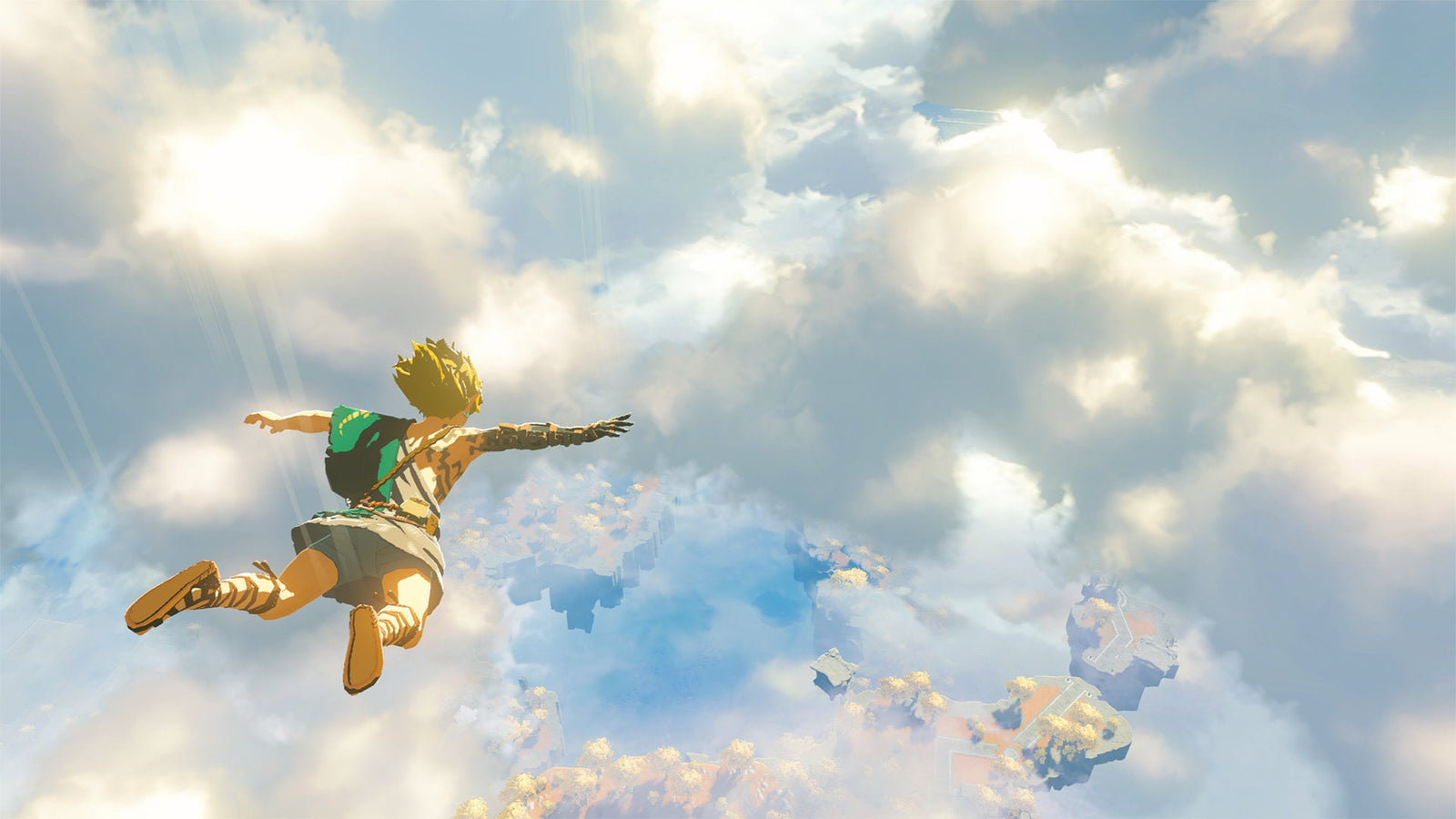 The Legend of Zelda: Tears of the Kingdom [Nintendo Switch] Nintendo Switch Video Game Nintendo   