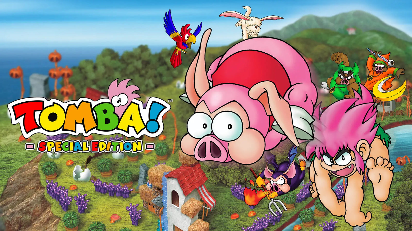 TOMBA!: Special Edition - Limited Run #245 [Nintendo Switch] Nintendo Switch Video Game Limited Run Games