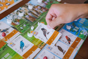 Wingspan - Asia Expansion [Board Game, 1 - 5 Players] Board Game Stonemaier Games