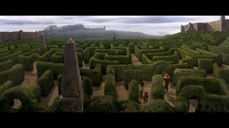 Labyrinth: 30th Anniversary Collector's Edition [Blu-Ray + Digital Box Set] DVDs & Blu-Rays Sony Pictures
