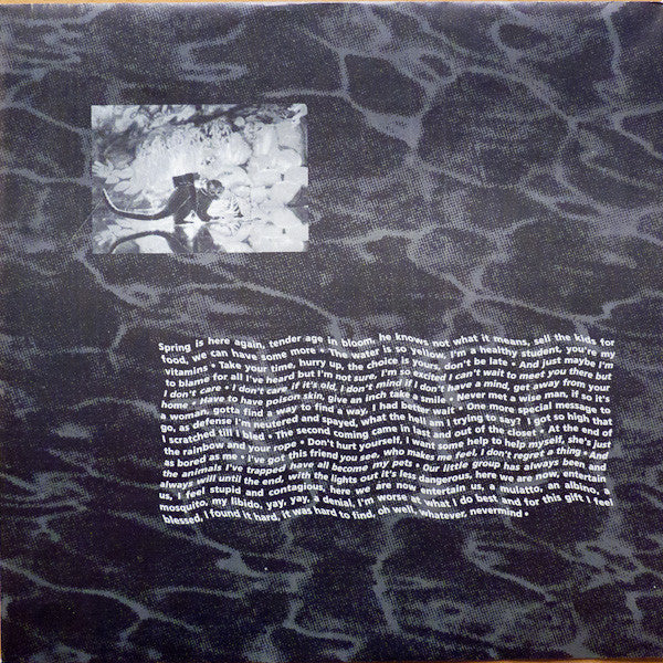 Nirvana - Nevermind [Audio Vinyl] Audio CD/Vinyl Geffen Records   