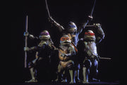 4 Film Favorites: Teenage Mutant Ninja Turtles [DVD Box Set] DVDs & Blu-Rays Warner Bros.   