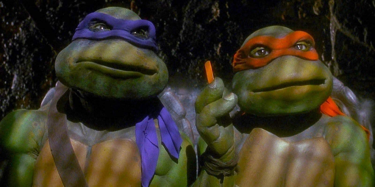 4 Film Favorites: Teenage Mutant Ninja Turtles [DVD Box Set] DVDs & Blu-Rays Warner Bros.   