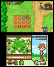 Harvest Moon 3D: The Tale of Two Towns [Nintendo 3DS] Nintendo 3DS Video Game Natsume   
