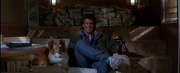 Lethal Weapon Collection [Blu-Ray Box Set] DVDs & Blu-Rays Warner Bros.   