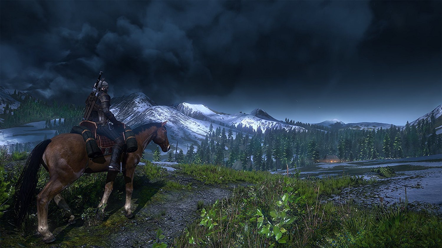 The Witcher 3: Wild Hunt [PlayStation 4] PlayStation 4 Video Game Warner Bros.   
