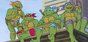 Teenage Mutant Ninja Turtles: Complete Classic Series Collection [DVD Box Set] DVDs & Blu-Rays Lionsgate Films   