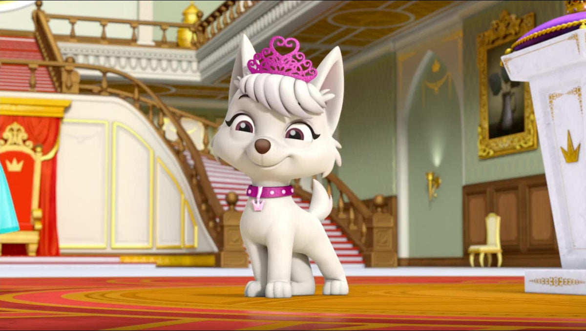 PAW Patrol: Animal Adventures [DVD] DVDs & Blu-Rays Elevation Pictures   