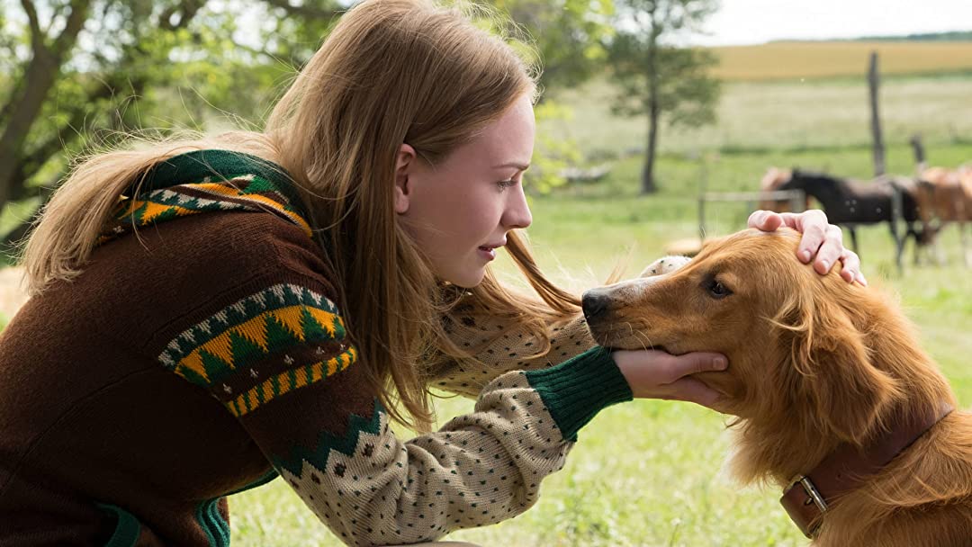 A Dog's Purpose [DVD] DVDs & Blu-Rays Universal Pictures   