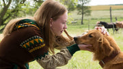 A Dog's Purpose [DVD] DVDs & Blu-Rays Universal Pictures   