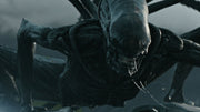 Alien: 6-Film Collection [DVD Box Set] DVDs & Blu-Rays 20th Century Fox