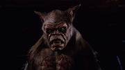 All Night Horror Marathon Volume Two - Cellar Dweller / Catacombs / Dungeonmaster / Contamination [DVD Box Set] DVDs & Blu-Rays Shout Factory   