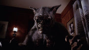 All Night Horror Marathon Volume Two - Cellar Dweller / Catacombs / Dungeonmaster / Contamination [DVD Box Set] DVDs & Blu-Rays Shout Factory   