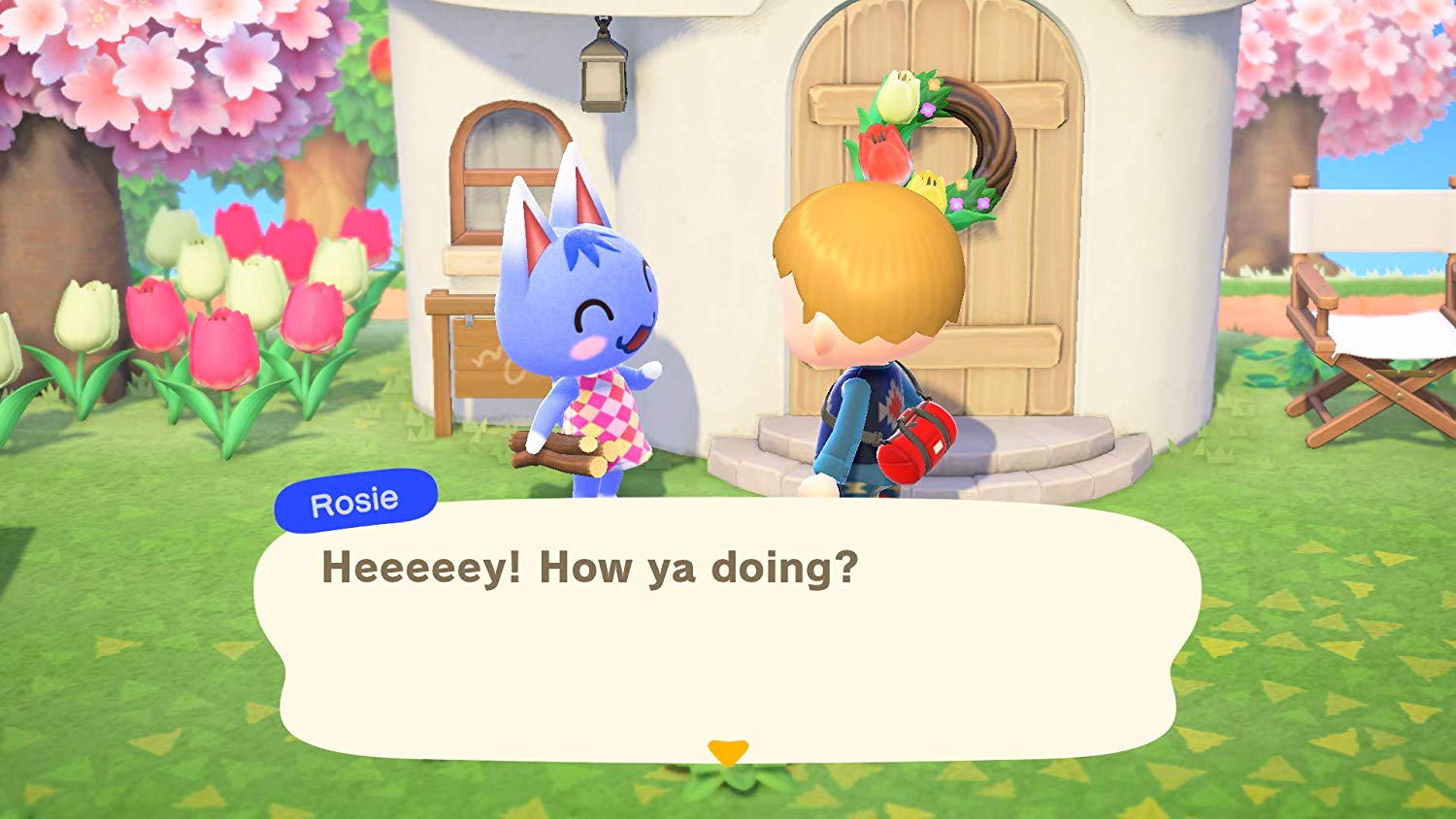 Animal Crossing: New Horizons [Nintendo Switch] Nintendo Switch Video Game Nintendo   