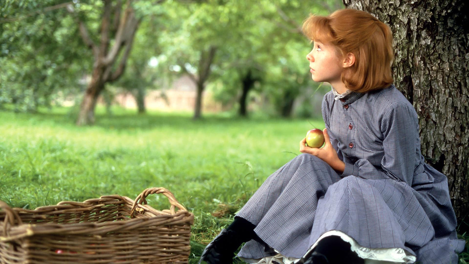 Anne of Green Gables [DVD] DVDs & Blu-Rays Sullivan Entertainment   