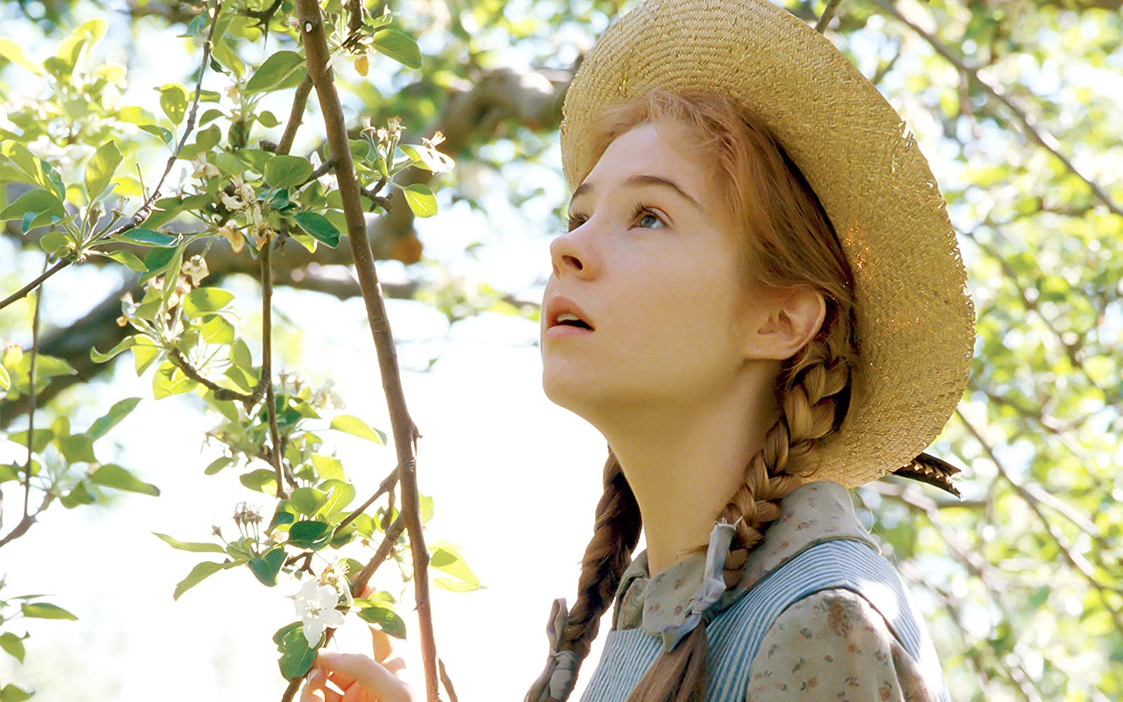 Anne of Green Gables - Limited Edition Collector's Set [Blu-Ray Box Set] DVDs & Blu-Rays Sullivan Entertainment   