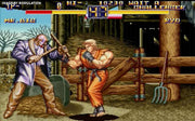 Art of Fighting Anthology [PlayStation 2] PlayStation 2 Video Game SNK   