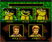 Battletoads & Double Dragon - Limited Run Games [NES] NES Video Game Limited Run Games