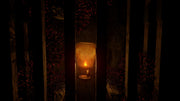 Candleman [Nintendo Switch] Nintendo Switch Video Game Red Art Games   