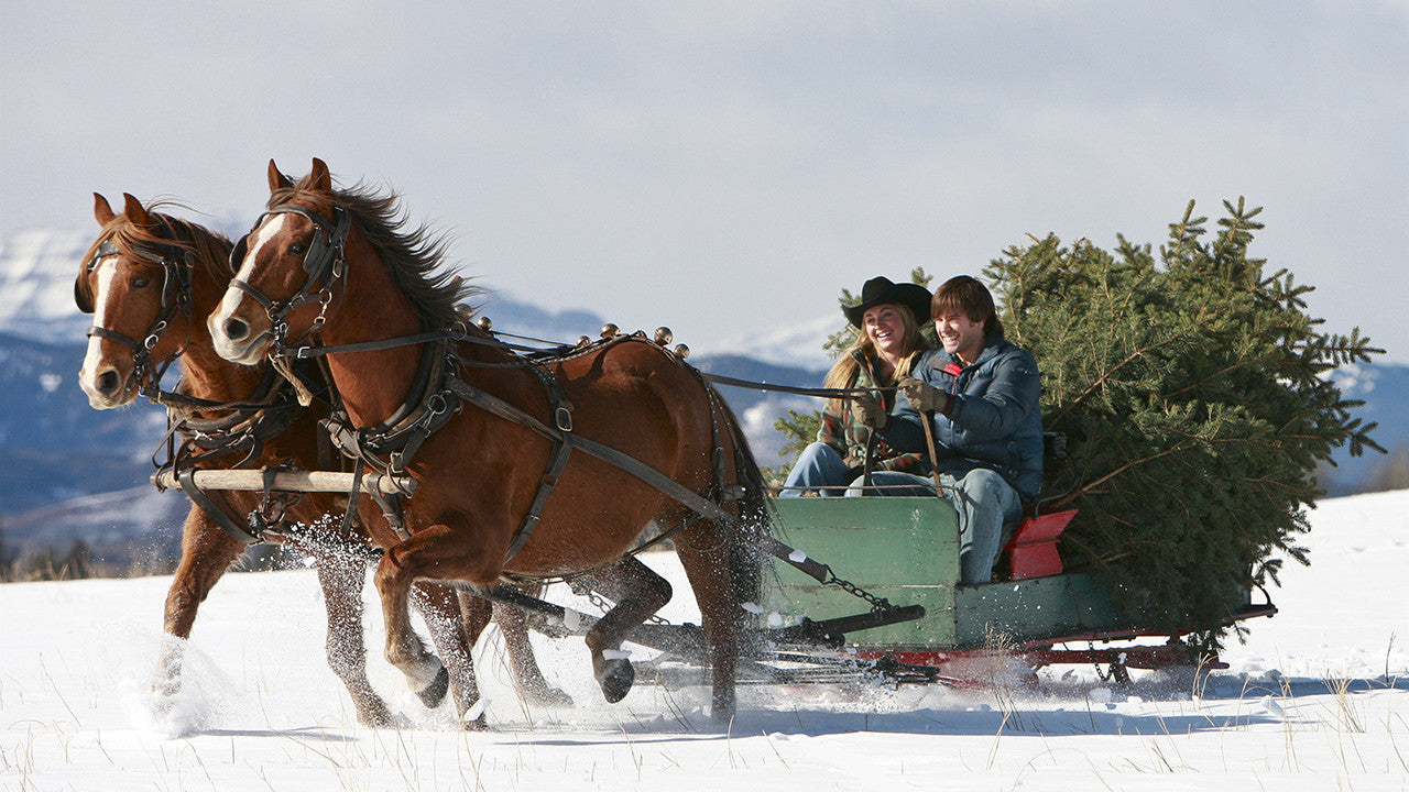 A Heartland Christmas [DVD] DVDs & Blu-Rays E1 Entertainment   