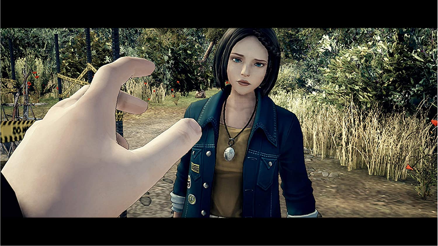 Deadly Premonition 2: A Blessing In Disguise [Nintendo Switch] Nintendo Switch Video Game Rising Star Games   