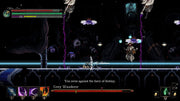 Death's Gambit: Afterlife [Nintendo Switch] Nintendo Switch Video Game Serenity Forge   