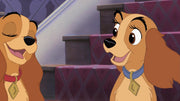 Disney's Lady and the Tramp / Lady and the Tramp II: Scamp's Adventure [Blu-Ray Box Set] DVDs & Blu-Rays Disney   