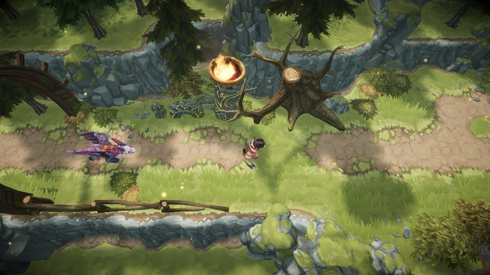 DreamWorks Dragons Dawn of New Riders [Nintendo Switch] Nintendo Switch Video Game Nintendo   