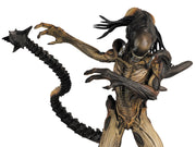 Eaglemoss Figure Collection #11: Predalien from Alien Vs. Predator Resin Figurine Statue Toys & Games Eaglemoss
