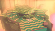 Etherborn [PlayStation 4] PlayStation 4 Video Game iam8bit   