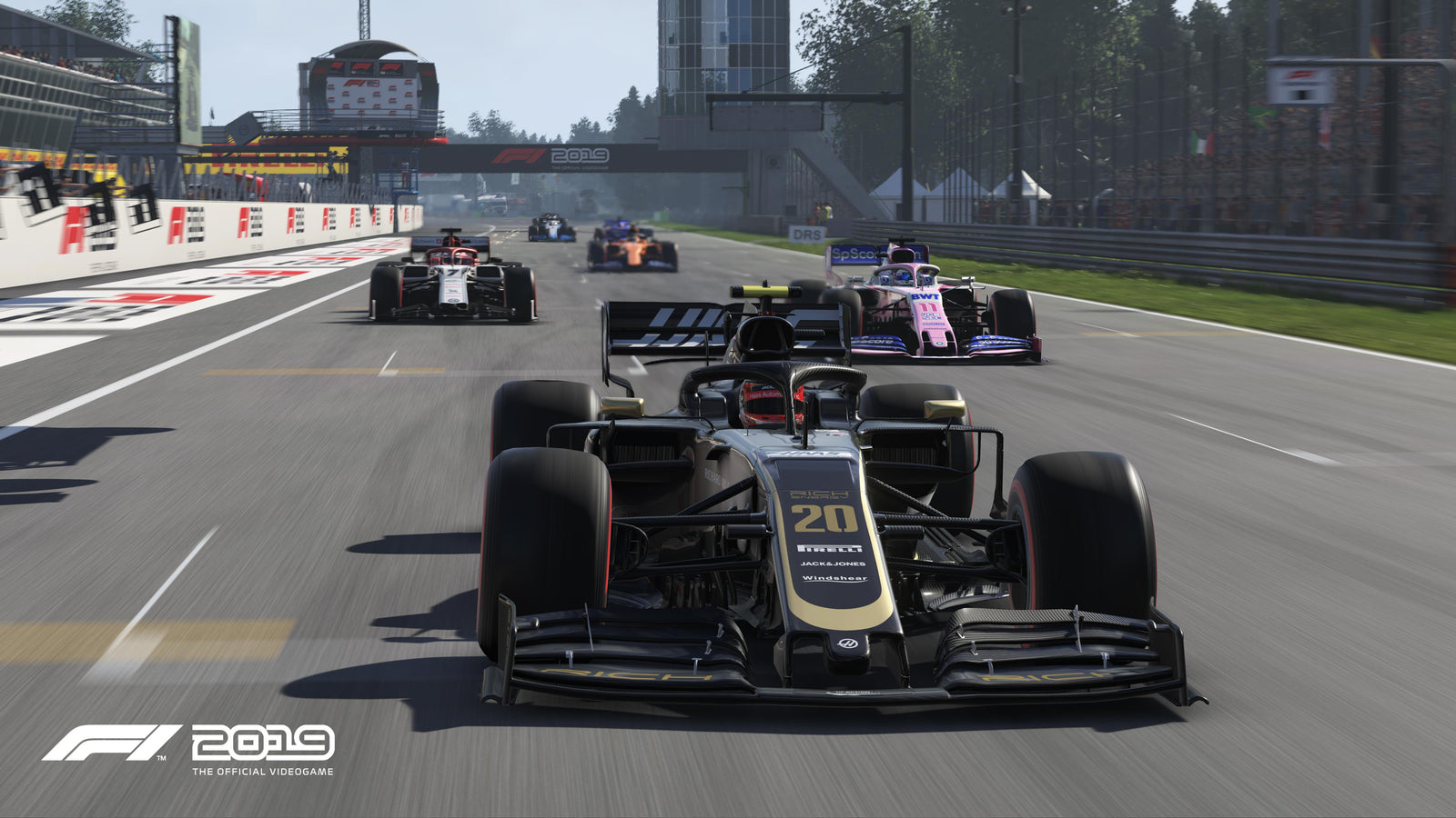 F1 2019 [PlayStation 4] PlayStation 4 Video Game Codemaster