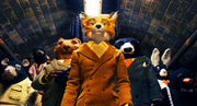 Fantastic Mr. Fox [DVD] DVDs & Blu-Rays 20th Century Fox   