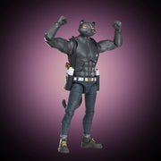 Fortnite Victory Royale Series: Meowscles (Shadow) Deluxe Pack 6" Collectible Action Figure with Accessories Toys & Games Hasbro