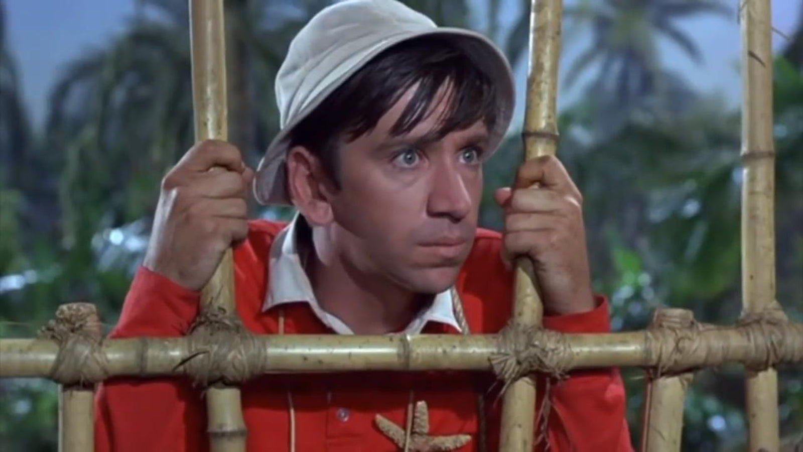 Gilligan's Island: The Complete Series Collection - Seasons 1-3 [DVD Box Set] DVDs & Blu-Rays Warner Bros.   